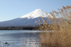 富士山旅行 (170)