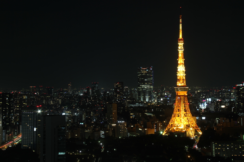 東京タワーと周辺の夜景②