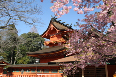 富士山旅行 (266)