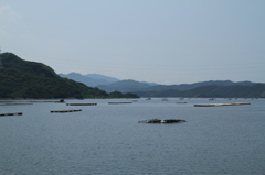 四国旅行 078