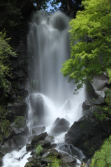 富士山旅行Ⅱ 071