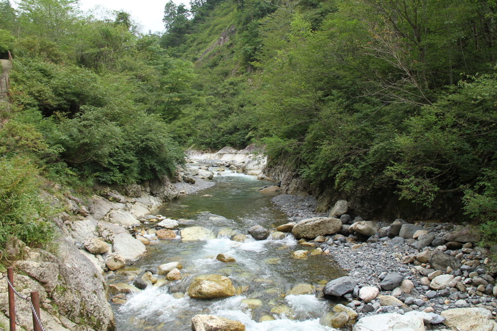 白山スーパー林道