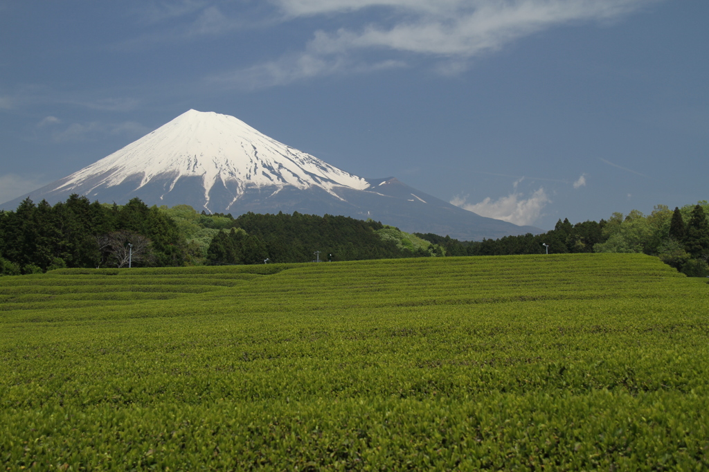 富士山旅行Ⅱ 083