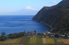 富士山　煌めきの丘