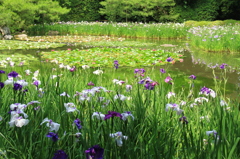 平安神宮　②