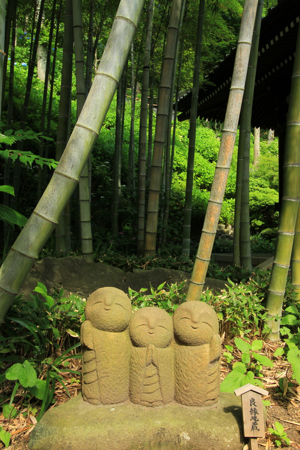 鎌倉の旅　⑧