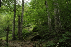 白山スーパー林道
