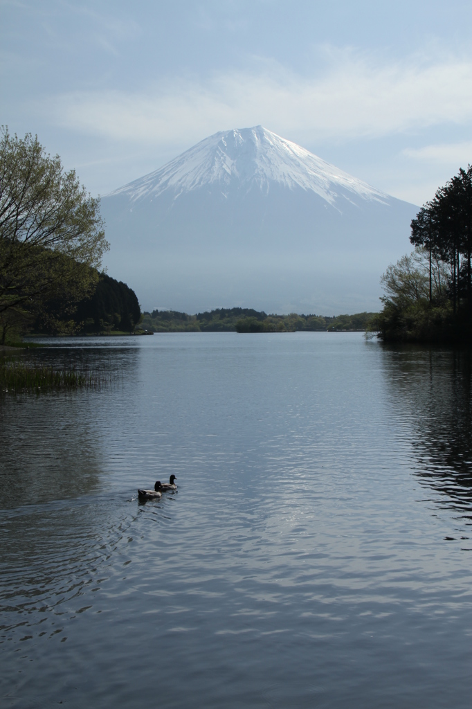 富士山旅行Ⅱ 053