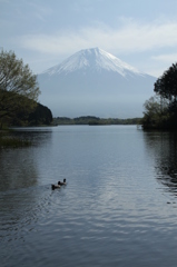 富士山旅行Ⅱ 053