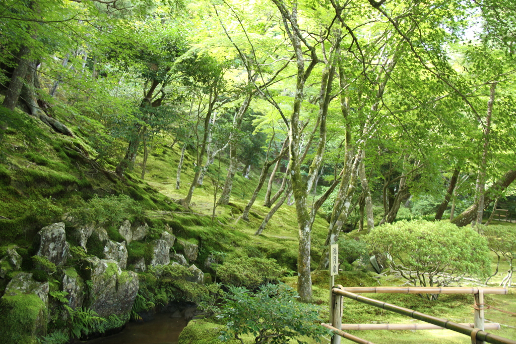 銀閣寺の庭