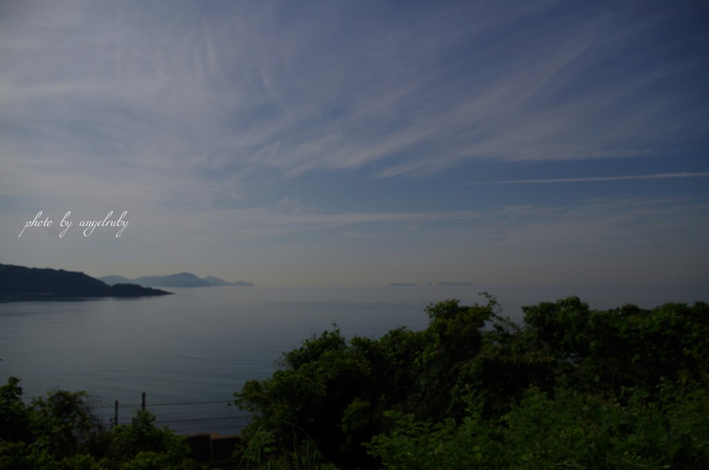 朝の海