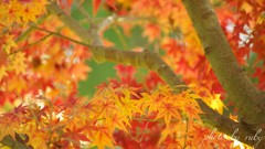 歴史の傍らに