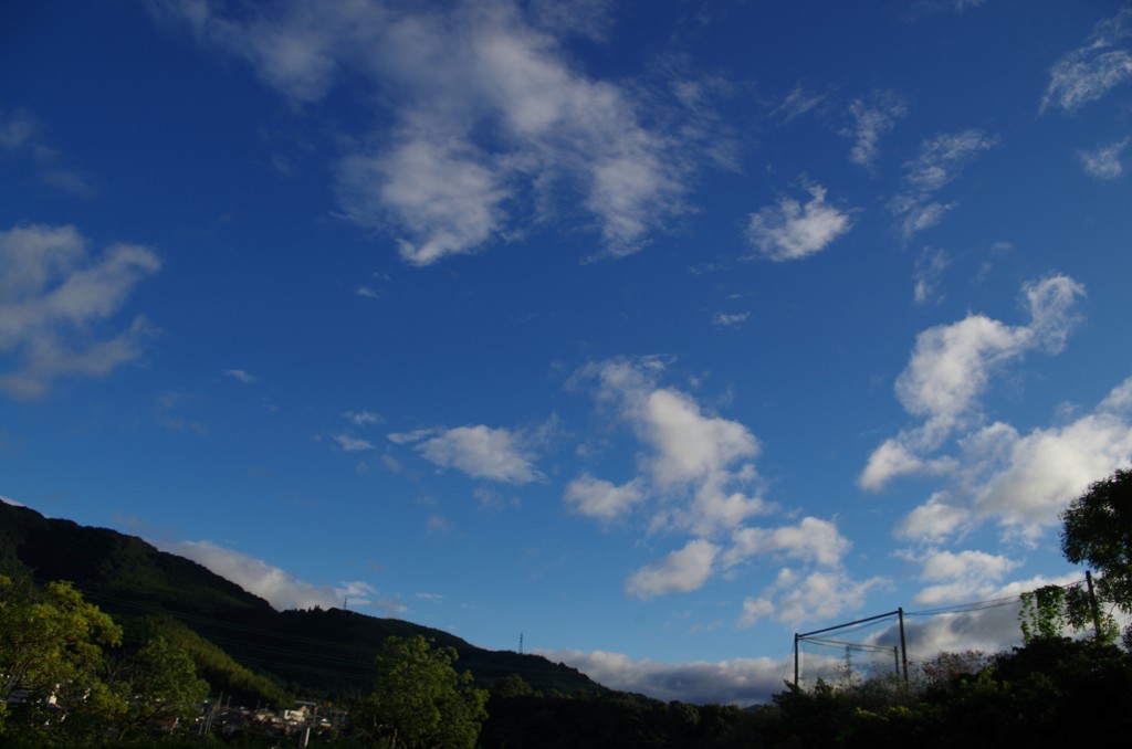 久しぶりの青