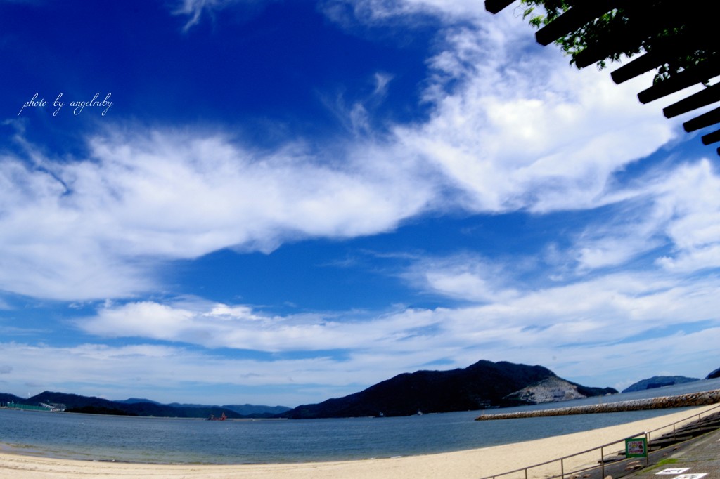 ある初夏の海へ