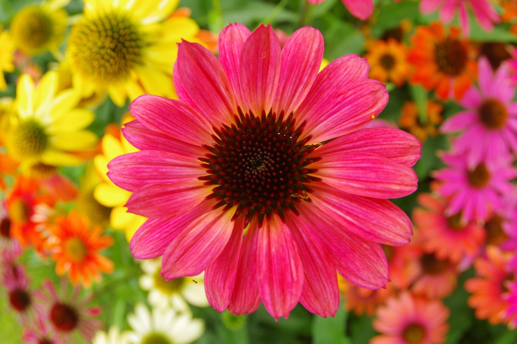 colorful  world  ～kaleidoscopic～