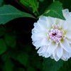 感謝～全ての世界へ～