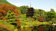 秋の瑠璃光寺