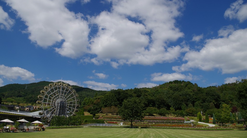 花たちの場所