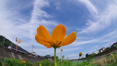 彼女の景色