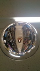 地球が丸くてわたしも丸いやつ