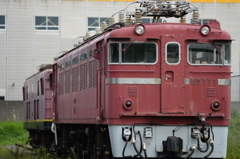 ED77