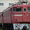 ED77