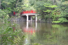 橋と池