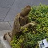 流木の人から