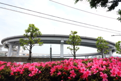 ループ橋