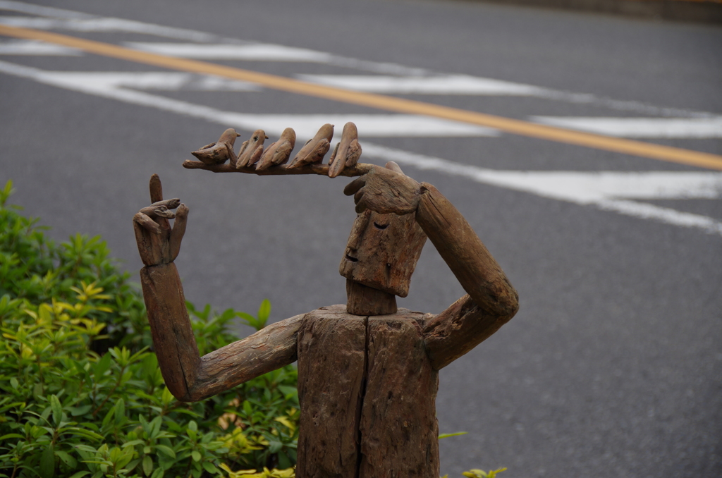 流木の人から