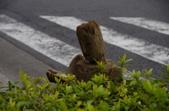 流木の人から