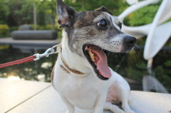 まだまだ開くよ