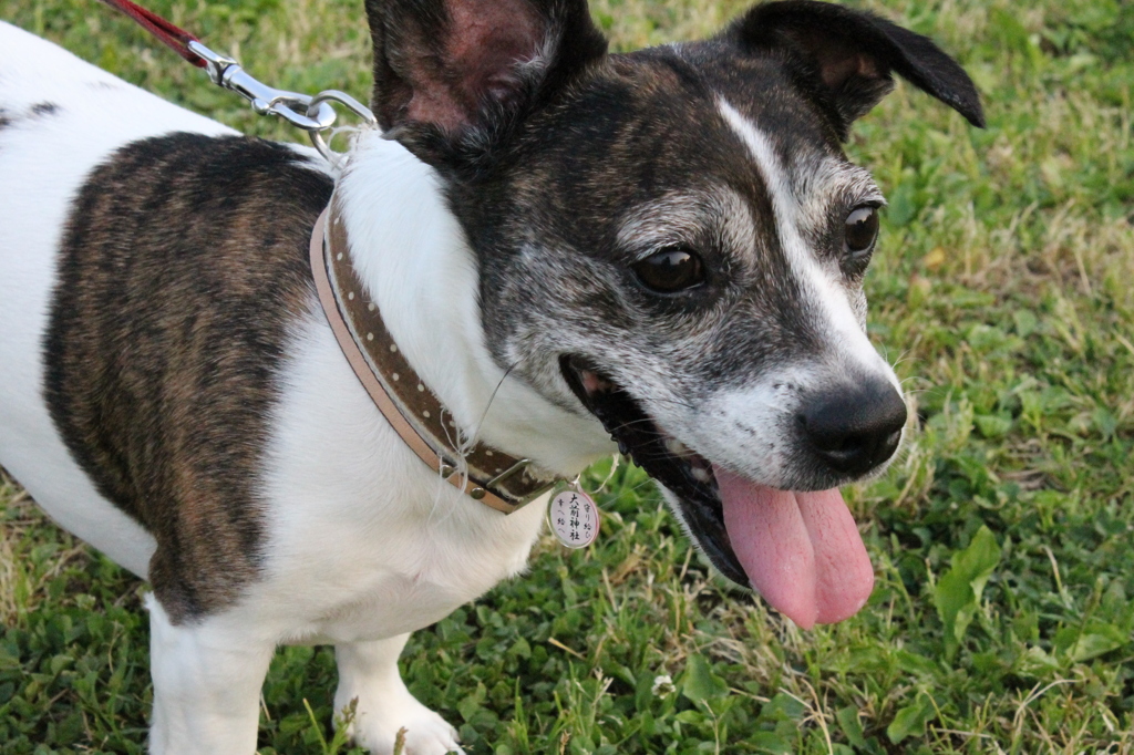 視線の先には。