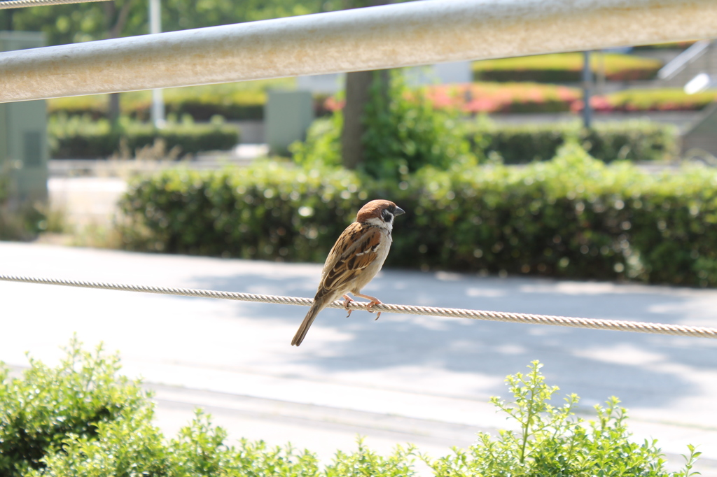 じりじり接近！