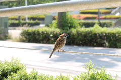 じりじり接近！