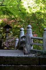 橋の上。