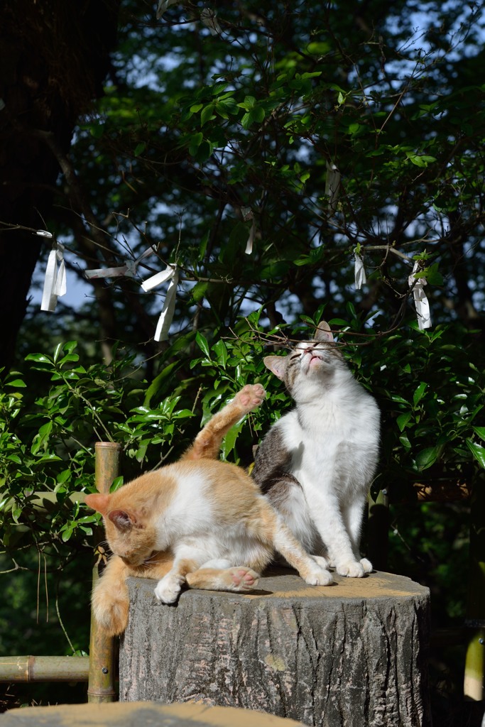 何時でも一緒。