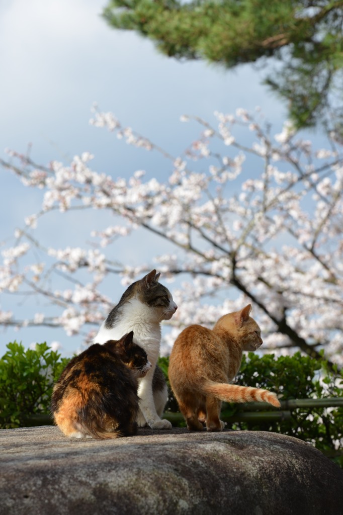 視線。