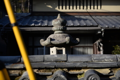 チラ見