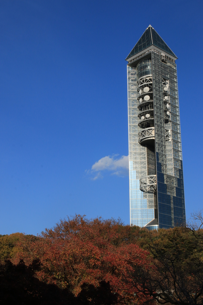 秋晴れの東山タワー