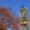 紅葉と東山タワー