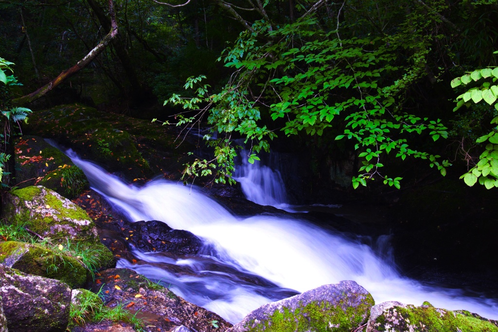 滝が落ちるその先