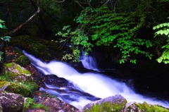 滝が落ちるその先