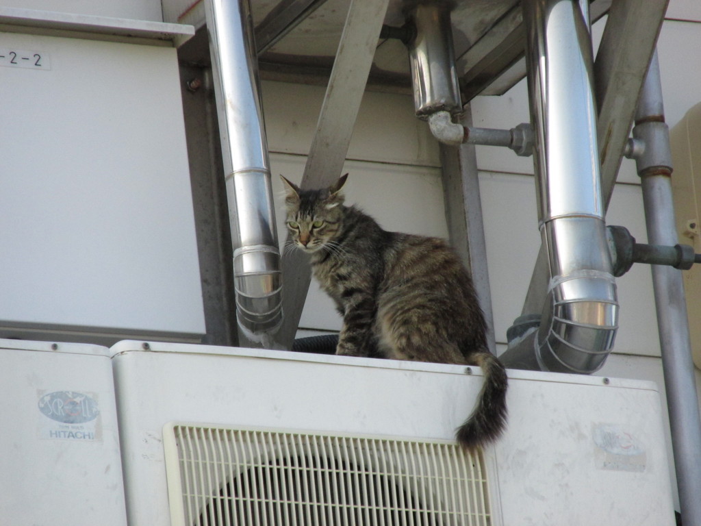 見下ろす