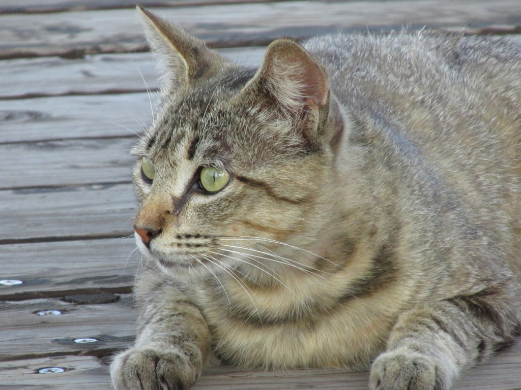 休憩