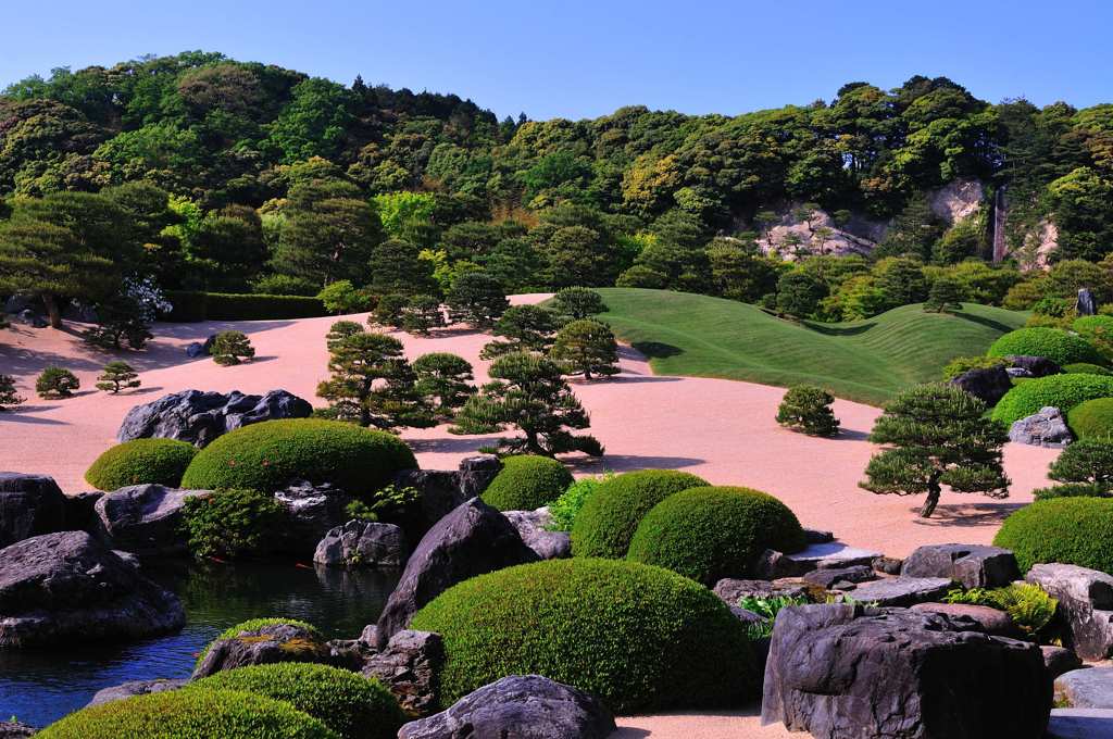 新緑の頃
