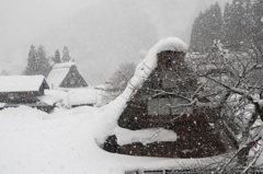 豪雪地帯を撮る