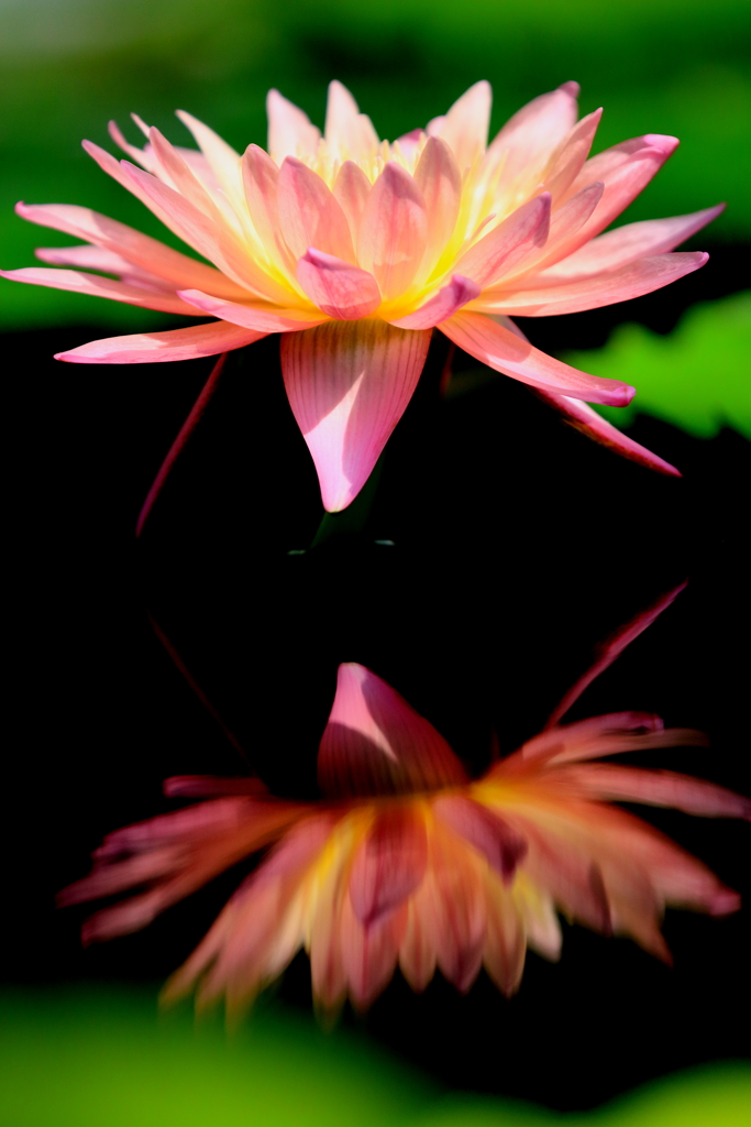 4S8A9380