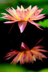4S8A9380