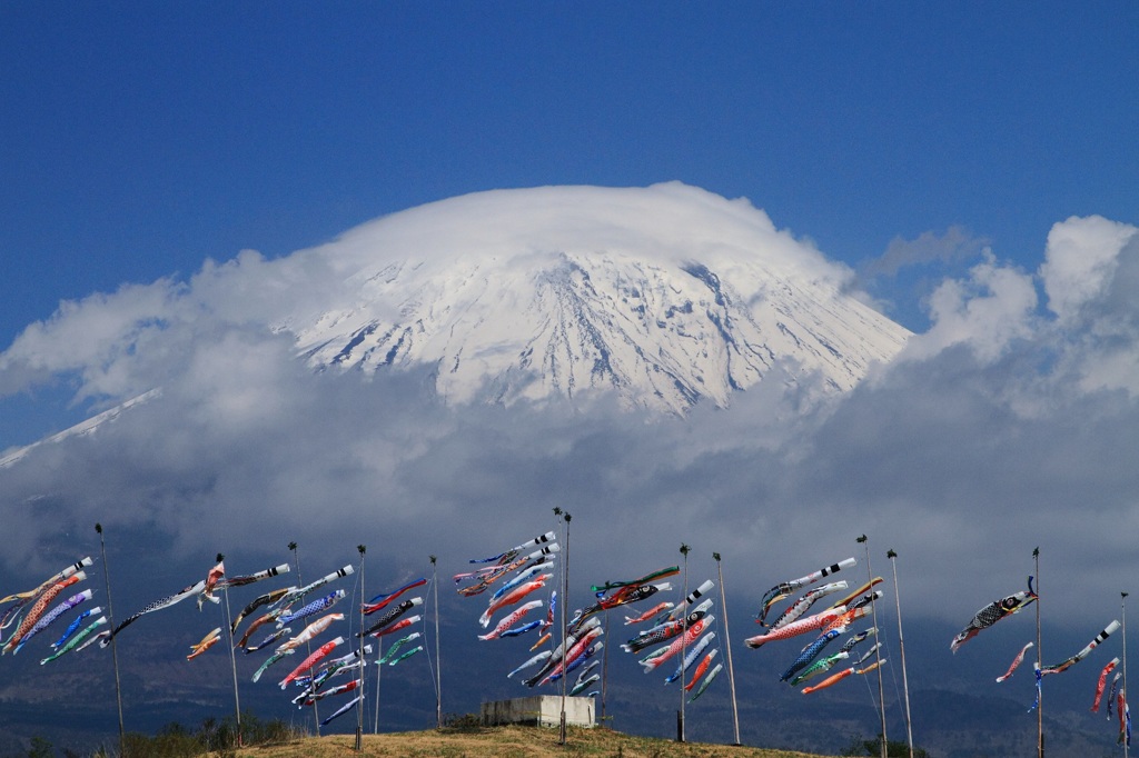 5月の富士山風景